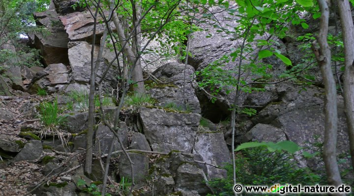 Bei Langenfeld liegt die größte Tropfsteinhöhle Niedersachsens
