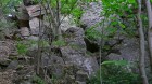 Bild Neun