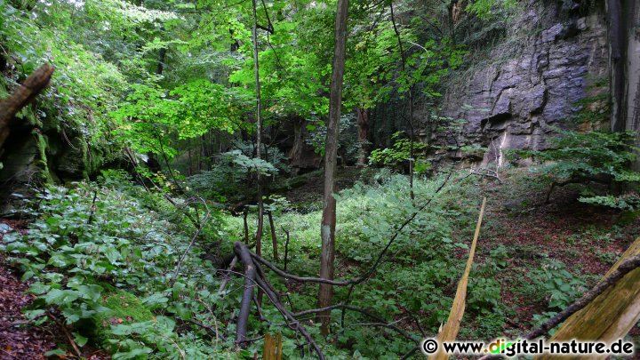 Ein 15 Meter breiter Graben am Möncheberg