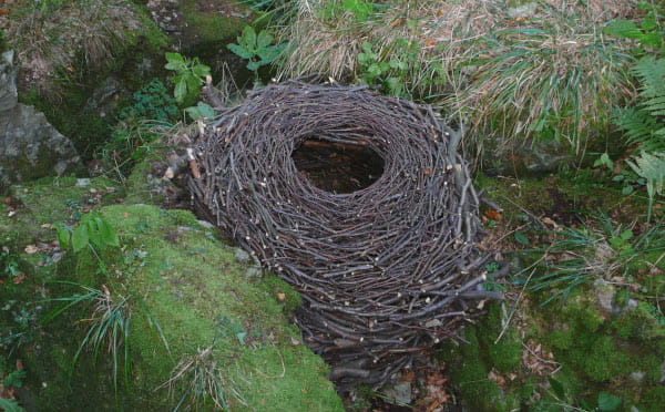 Naturkunst mit Holz