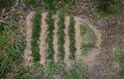 Landart Bodenwelten
