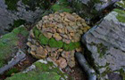 Landart mit Steinen