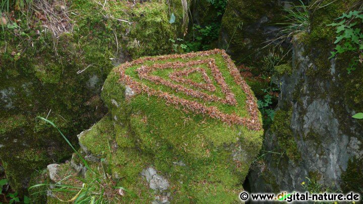 Naturkunst Dreiecke