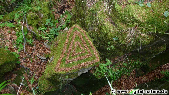 Naturkunst im Süntel