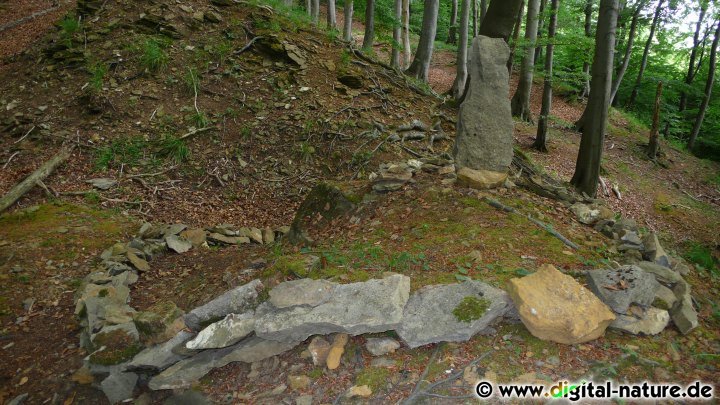 Monolith im Süntel