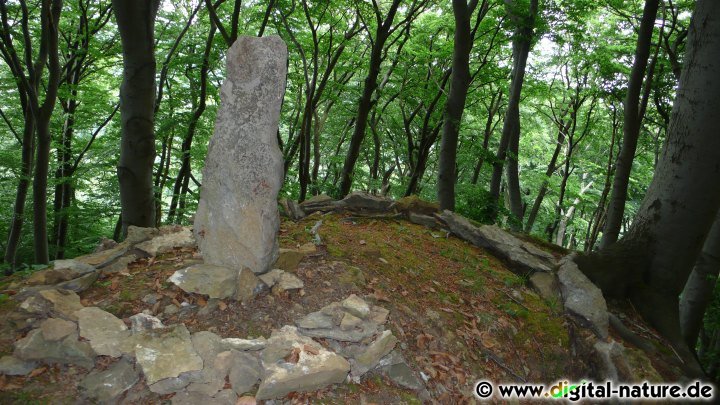 Steinturm