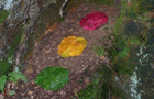 Farbkreise