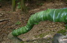 Blatthaut