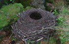 Landart Bilder