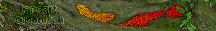 Landart organisch