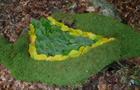 Wurzelfläche