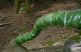 Bild Eins