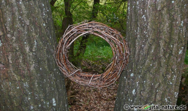Landart Weidenring