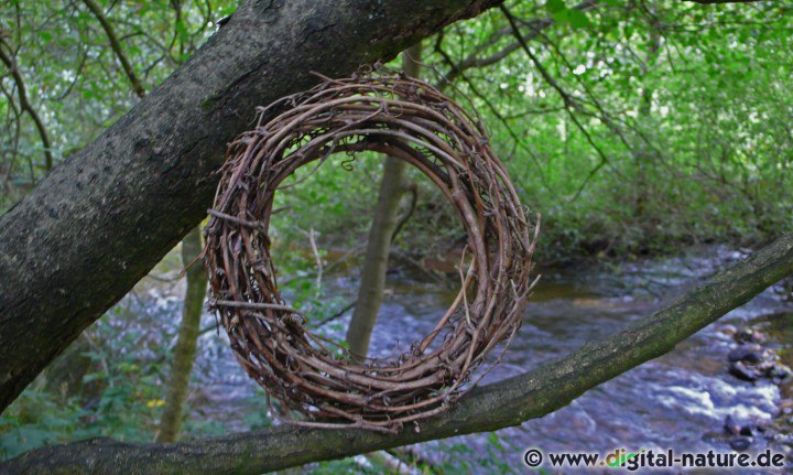 Ring aus Weidenruten