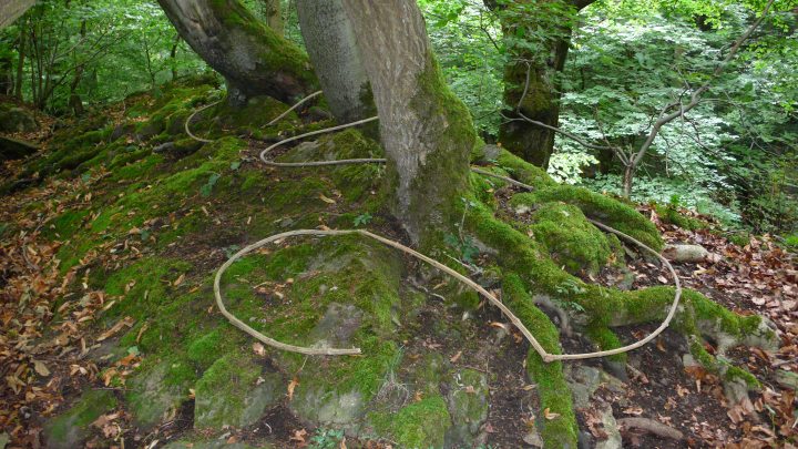 Landart mit Holz