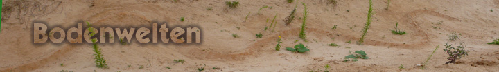 Landart Sand