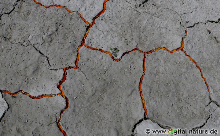 Trockenheit in der Kunst