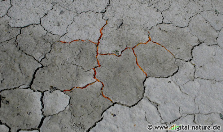 Risse im Erdboden