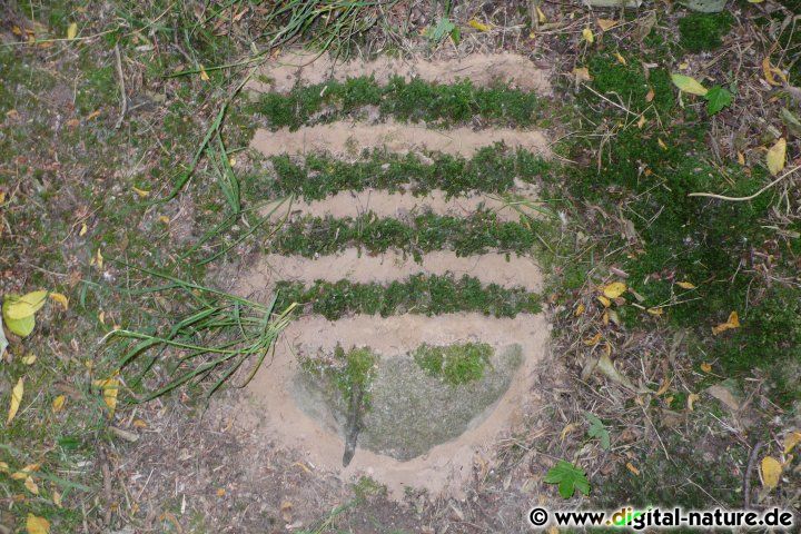 Naturkunst mit Sand