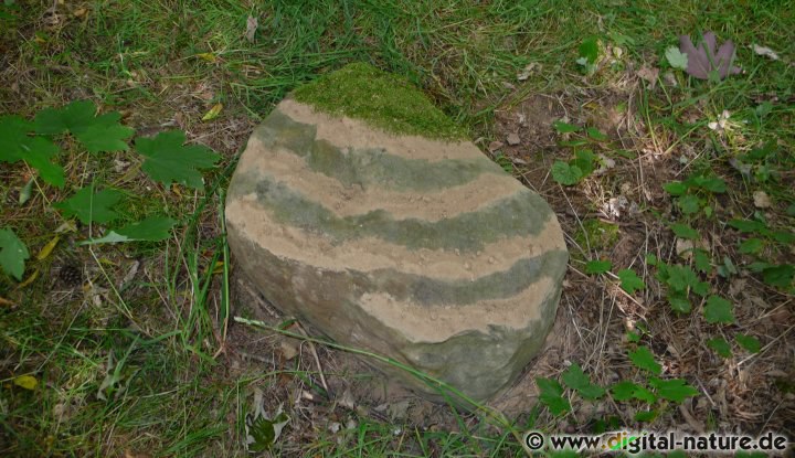 Sandmuster auf einem Stein