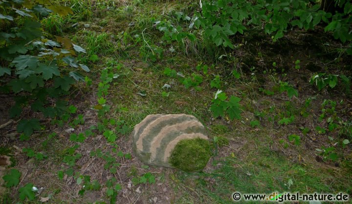 Naturkunst Sandmuster