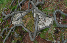 Mosaik