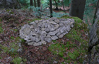 Zapfen