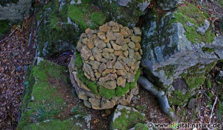 Naturkunst Fotoprojekte: Der Knotenpunkt