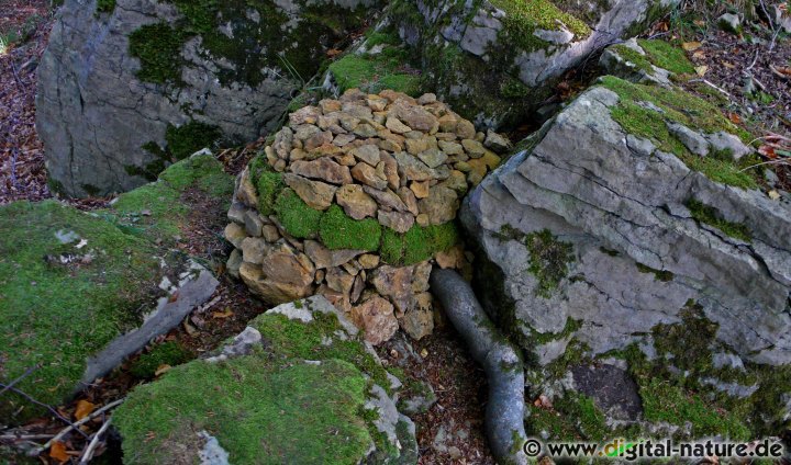 Landartbilder: Der Knotenpunkt