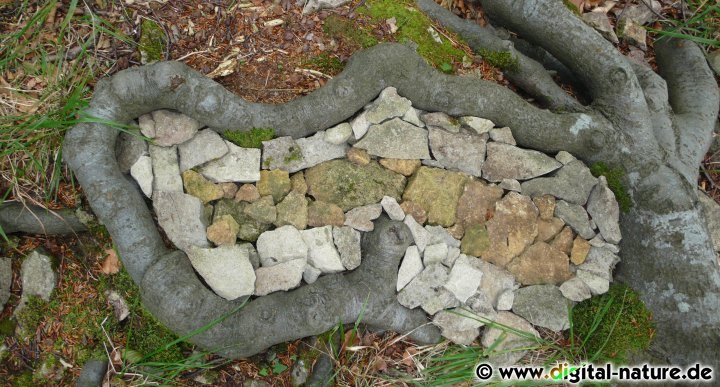Naturkunstwerk Steinpflaster