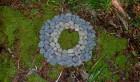 Bild Zwei