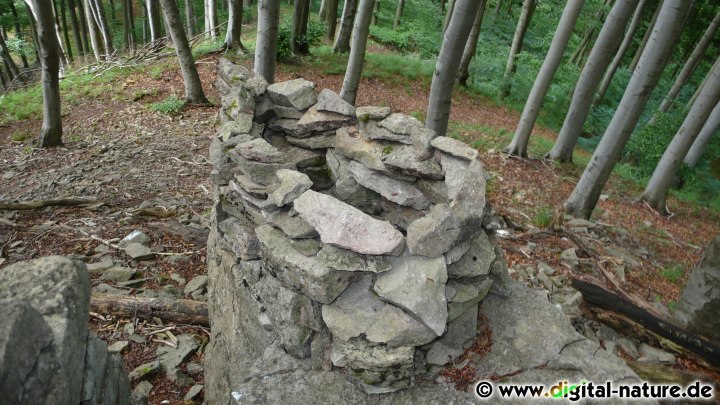 Landart-Fotoprojekte: Steintropfen