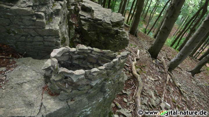 Naturkunst aus Stein