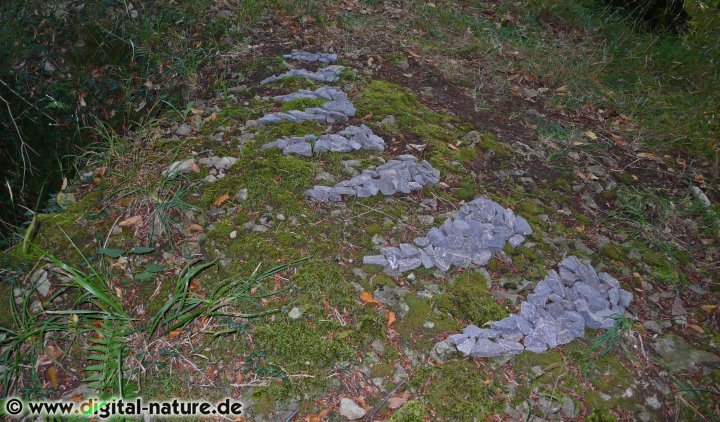 Naturkunstwerk Steinzeichen