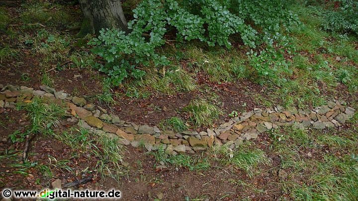 Landartbilder: Straße ins Nichts