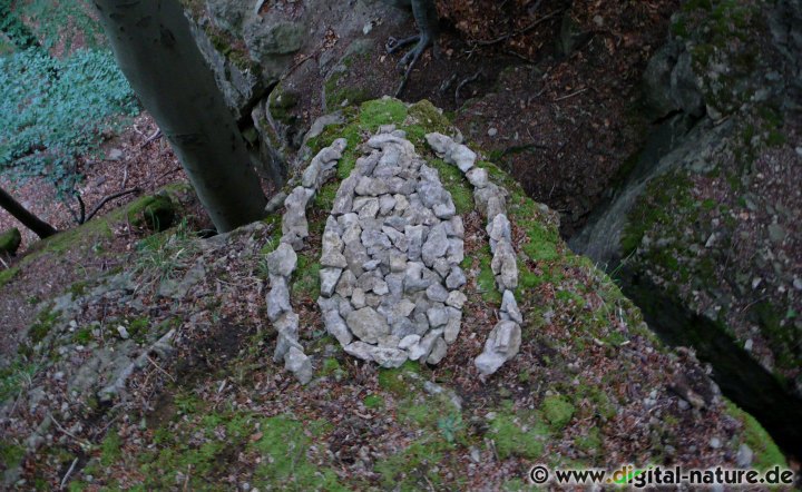 Naturkunst als Fotoprojekt: Das Steinmuster
