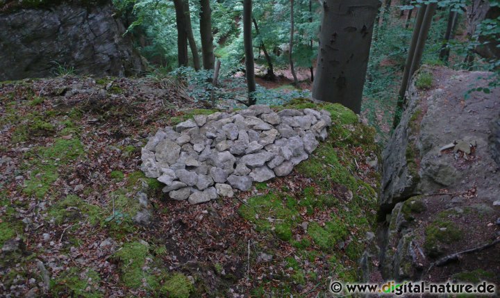 Landartbilder: Steinzapfen im Süntel