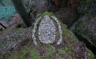 Bild Zwei
