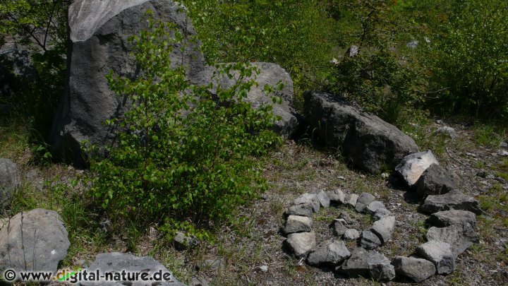 Naturkunst Steinmuster