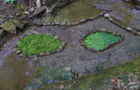 Wassertropfen