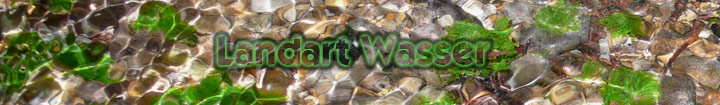 Landart am Wasser