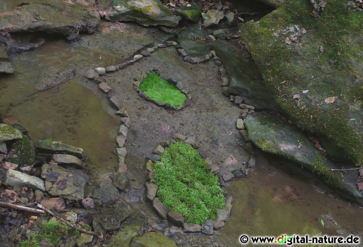 Landart im Blutbach