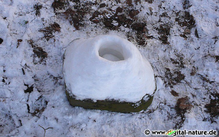 Naturkunst mit Schnee