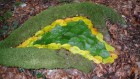 Bild Eins
