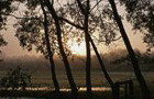 Mystische Natur - Diverse