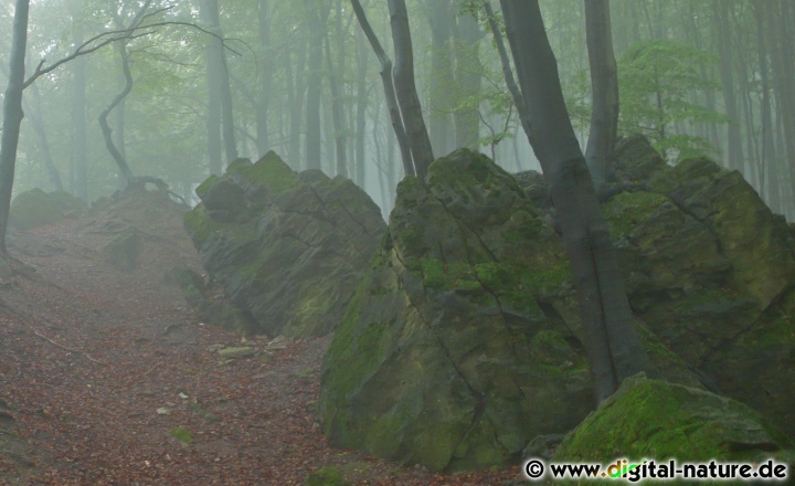 Mystische Felsen im Ith