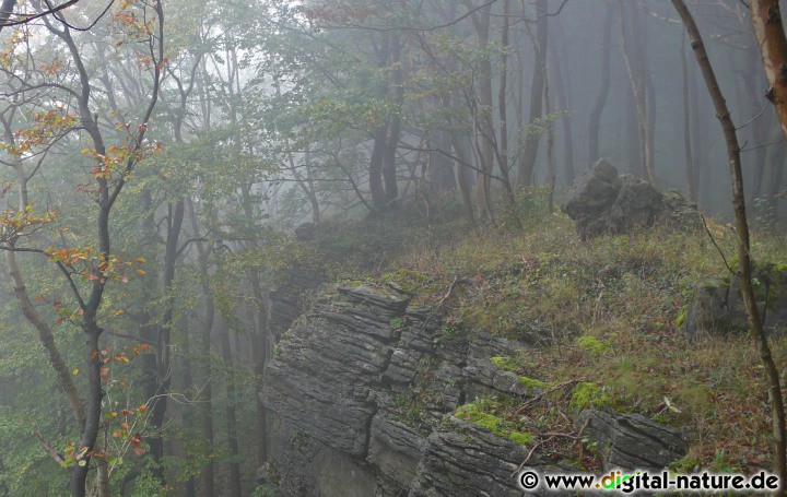 Abbruchkante im Nebel