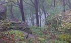 Bild Neun