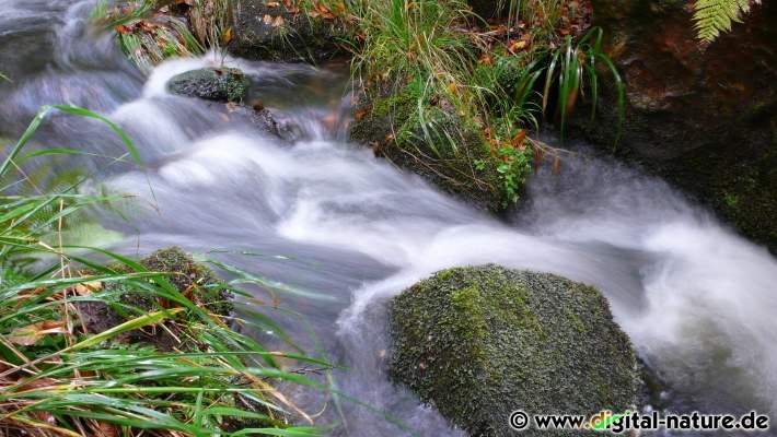 Fließendes Wasser fotografieren