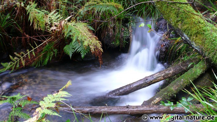 Wasserfall im Süntel